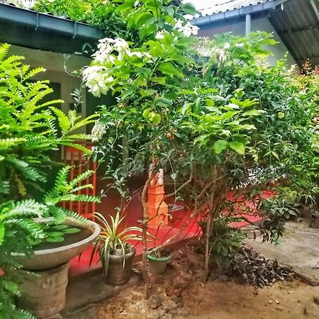 Senith Guest House 미리사 외부 사진